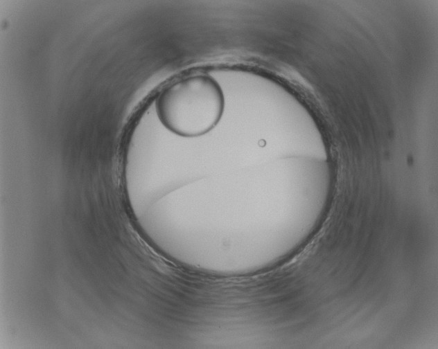 X0000073731216200608311837