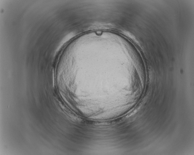 X0000073731219200608311837