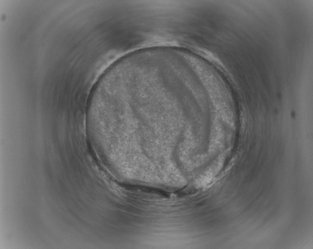 X0000073731220200608311837