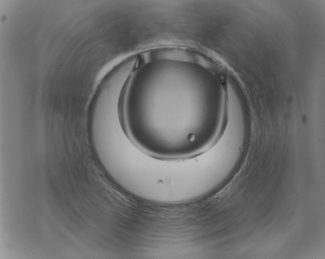 X0000073731222200608311837