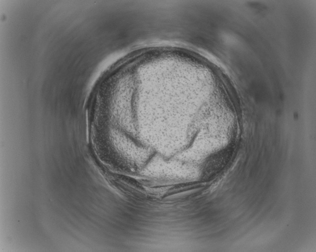 X0000073731223200608311837