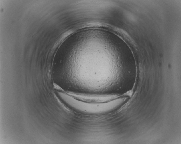 X0000073731225200608311837