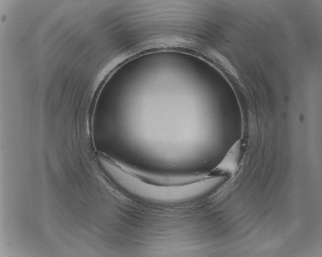 X0000073731226200608311837