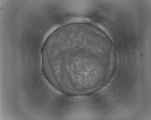 X0000073731227200608311837