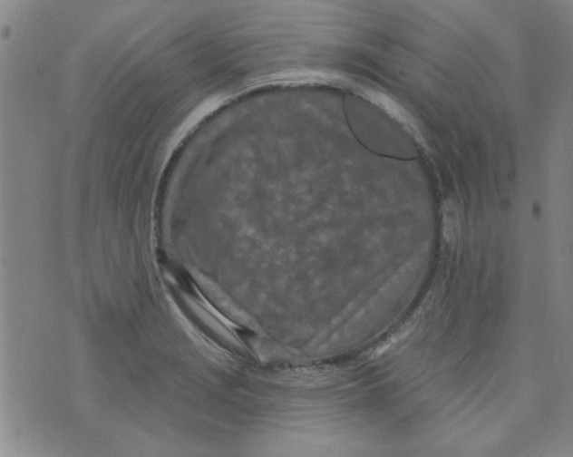 X0000073731229200608311837