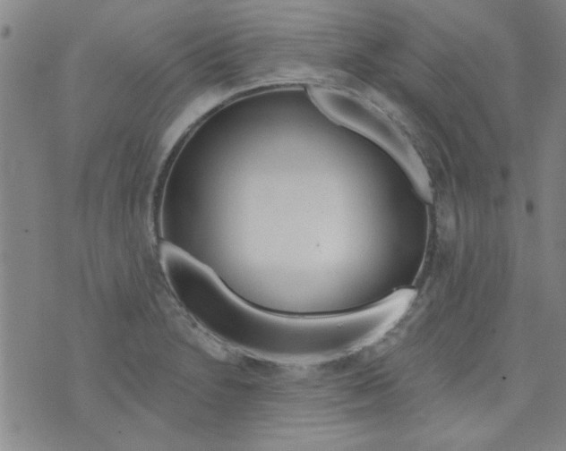 X0000073731230200608311837