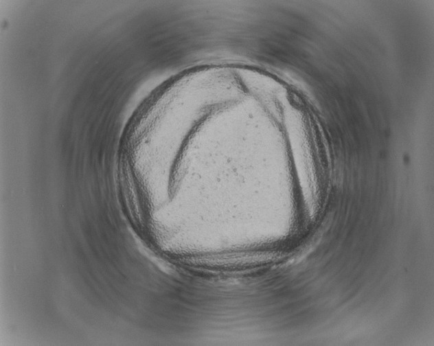 X0000073731231200608311837