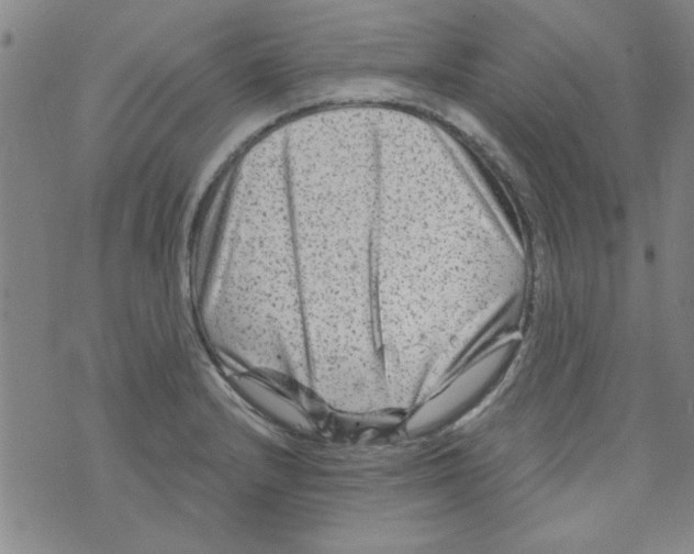 X0000073731232200608311837