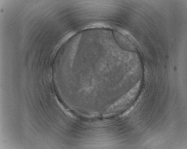 X0000073731233200608311837