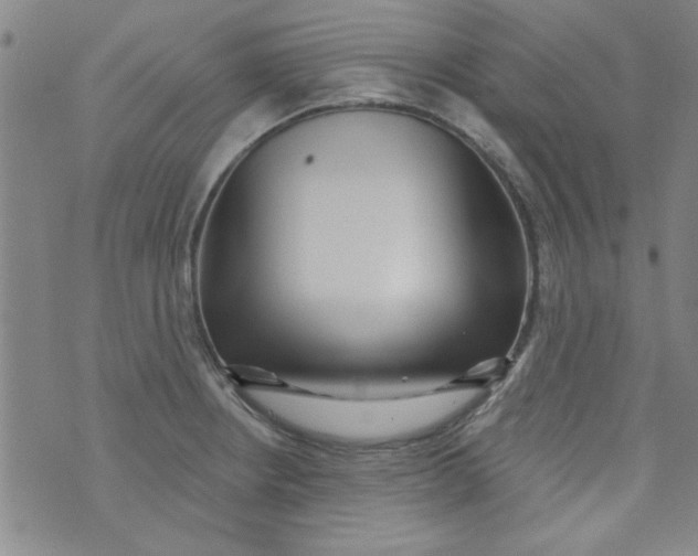 X0000073731234200608311837