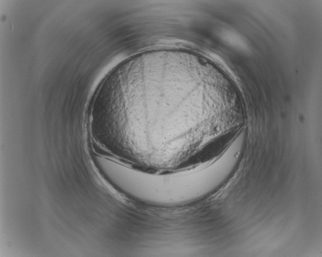 X0000073731235200608311837