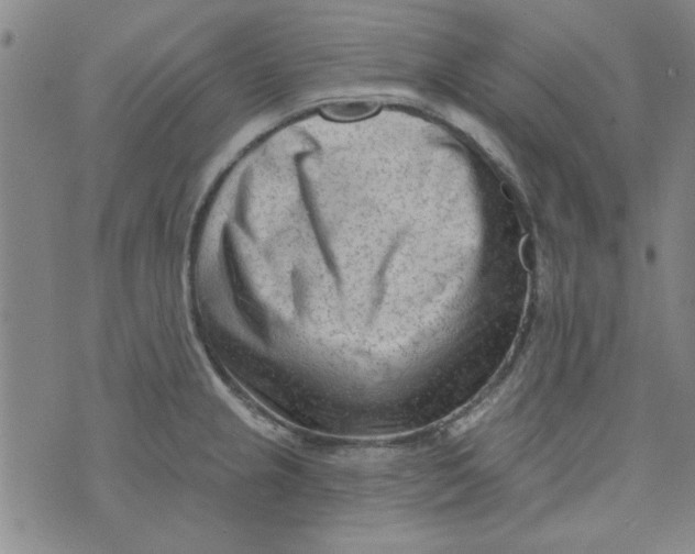 X0000073731237200608311837