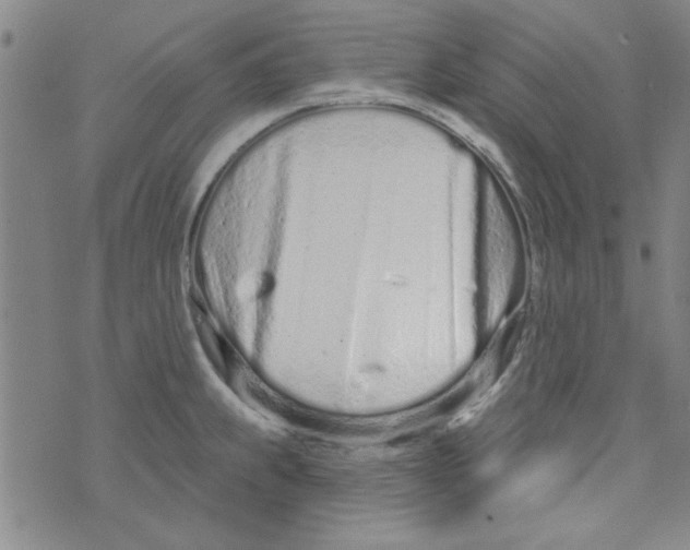 X0000073731239200608311837