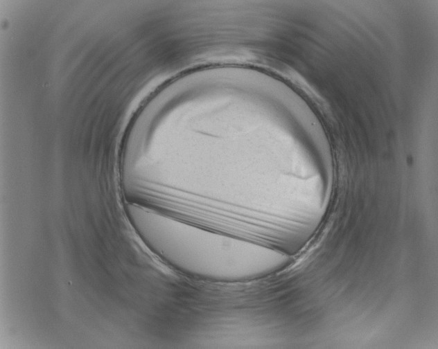 X0000073731240200608311837