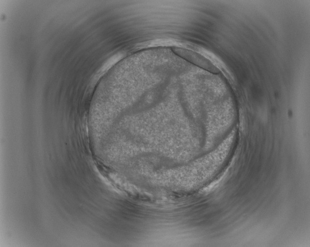 X0000073731241200608311837