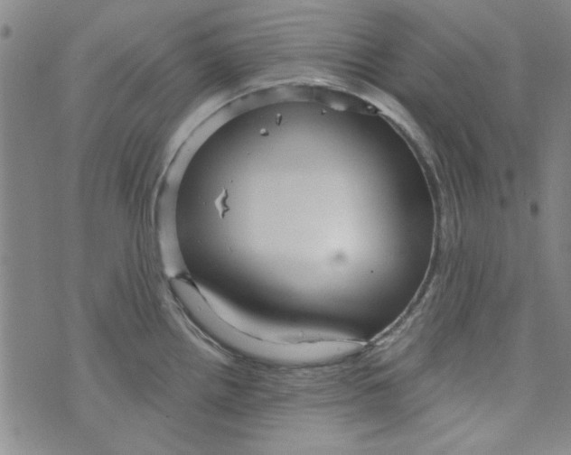 X0000073731242200608311837