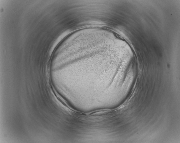 X0000073731243200608311837