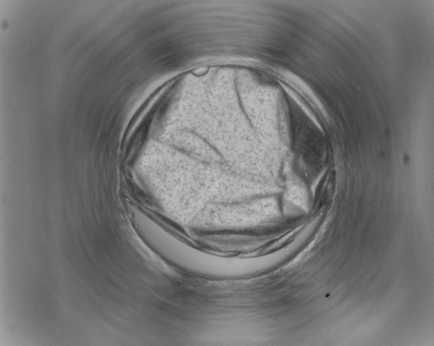 X0000073731244200608311837