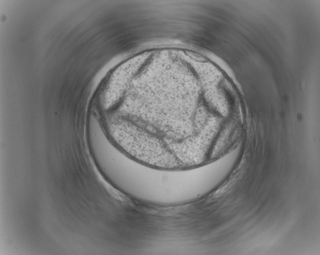 X0000073731245200608311837