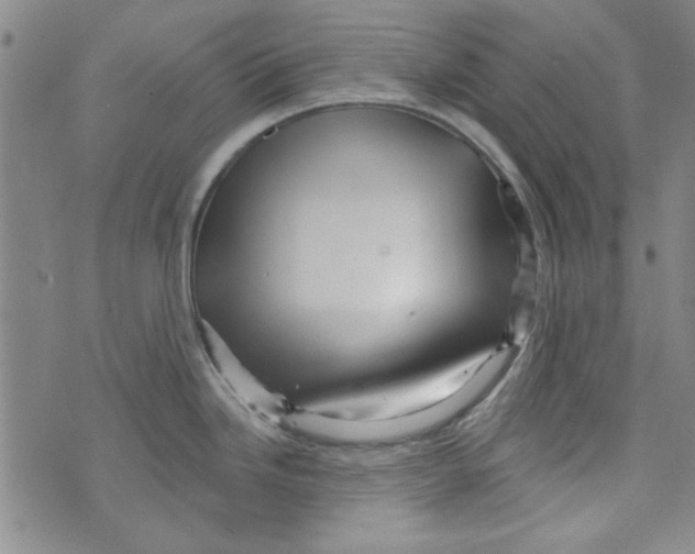 X0000073731246200608311837