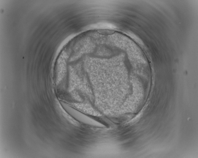 X0000073731248200608311837