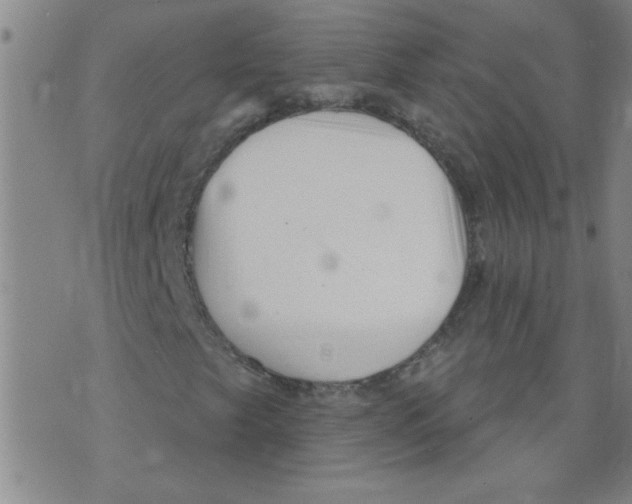 X0000073731249200608311836