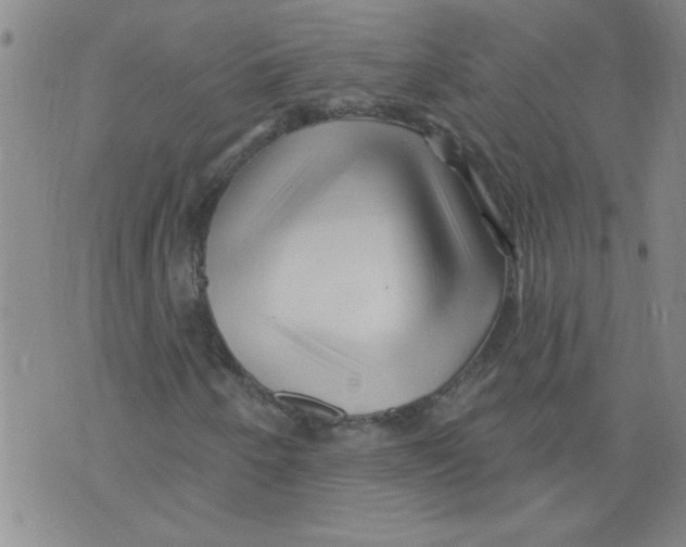 X0000073731250200608311836