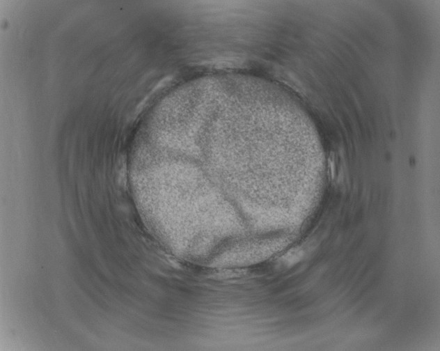 X0000073731251200608311836