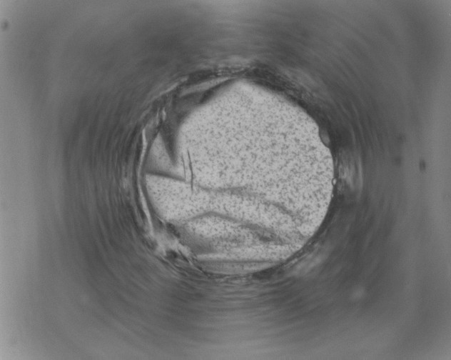 X0000073731252200608311836