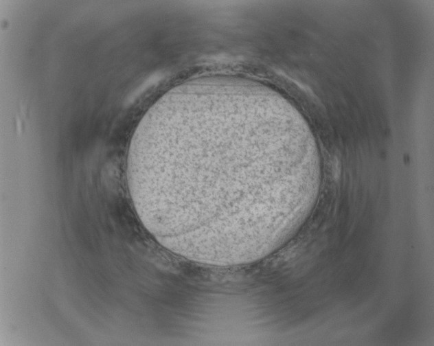 X0000073731254200608311836