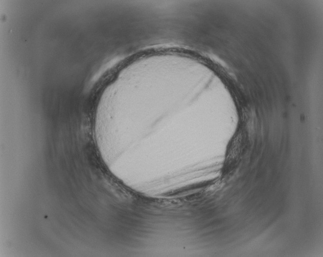 X0000073731255200608311836