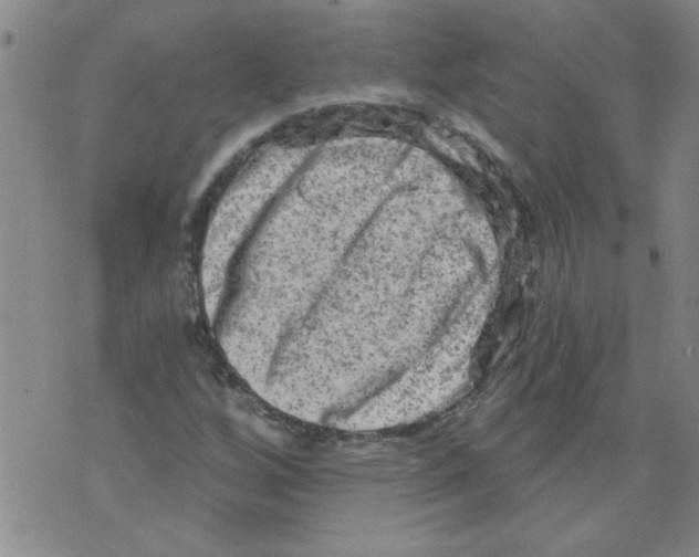 X0000073731256200608311836