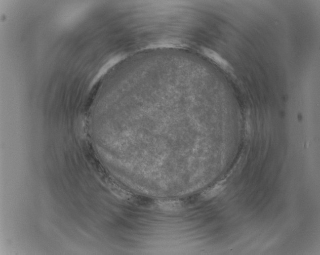 X0000073731258200608311836