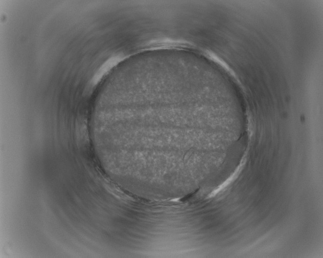 X0000073731259200608311836