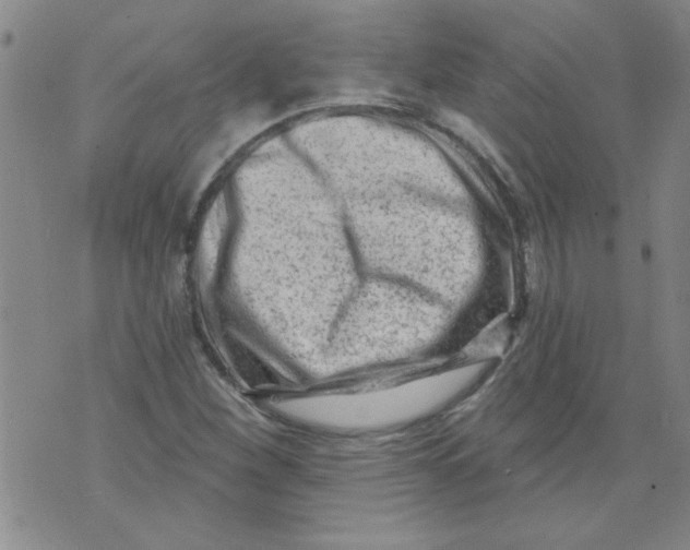 X0000073731260200608311836