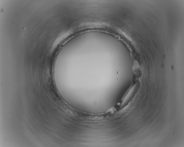 X0000073731261200608311836