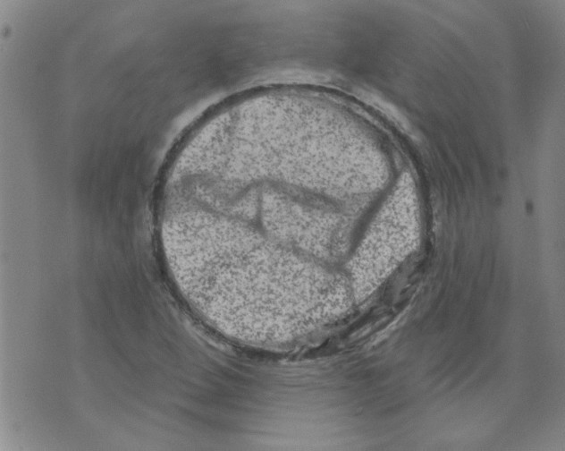 X0000073731264200608311836