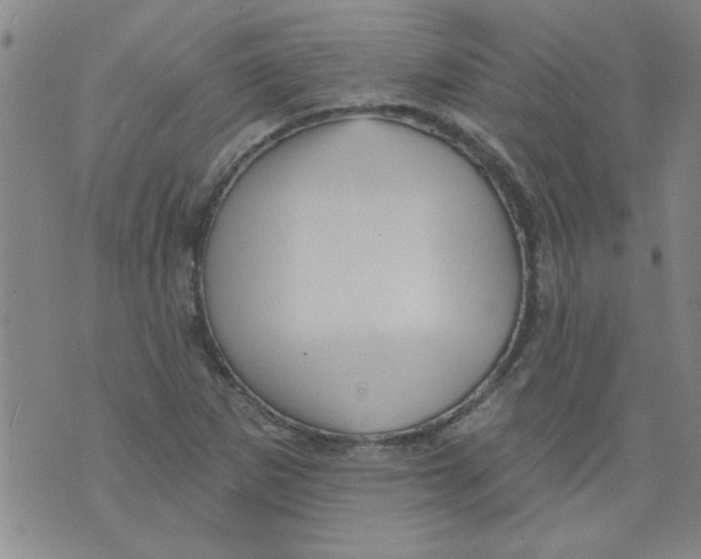 X0000073731265200608311836