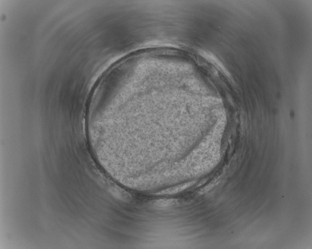 X0000073731268200608311836