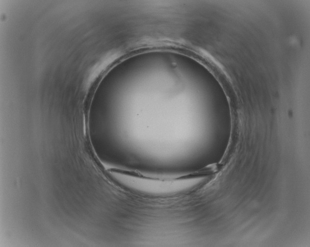 X0000073731269200608311836