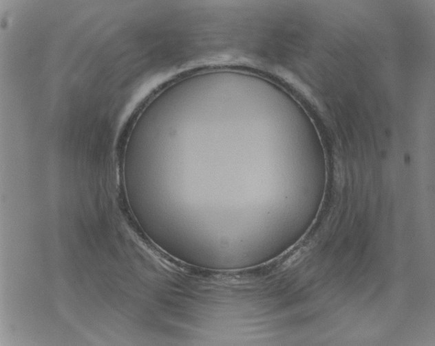 X0000073731270200608311836