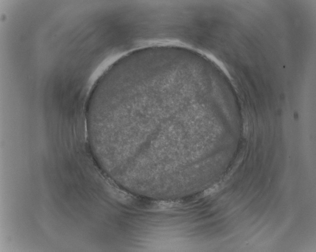 X0000073731271200608311836