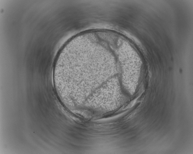 X0000073731272200608311836