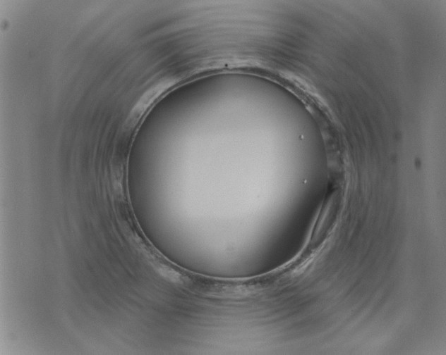 X0000073731273200608311836