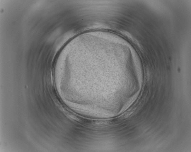 X0000073731274200608311836