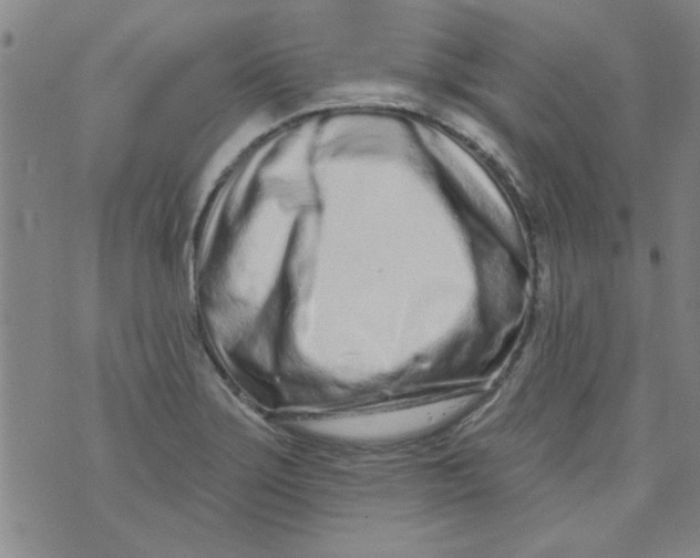 X0000073731275200608311836