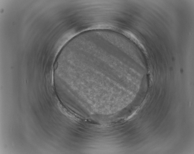 X0000073731276200608311836