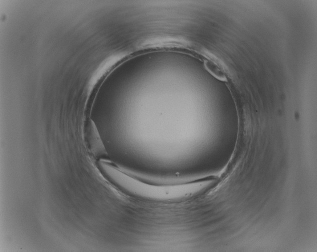 X0000073731277200608311836