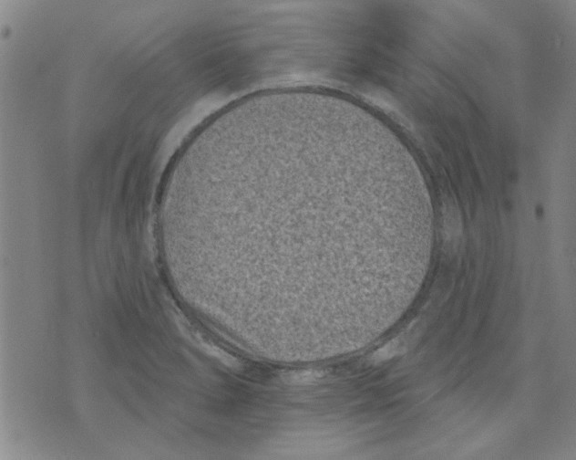 X0000073731278200608311836