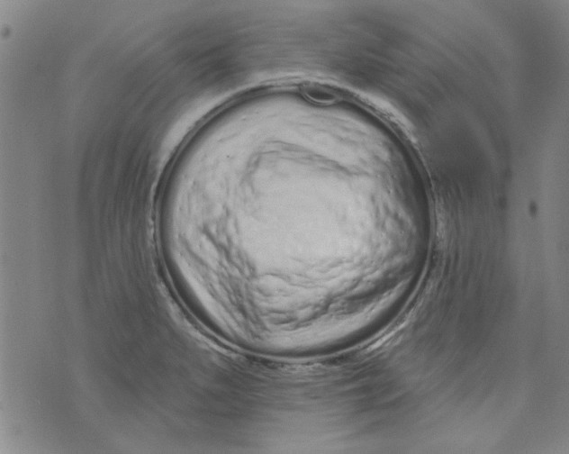 X0000073731279200608311836